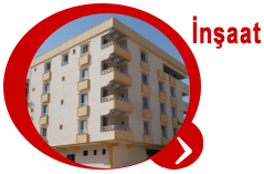 ins1